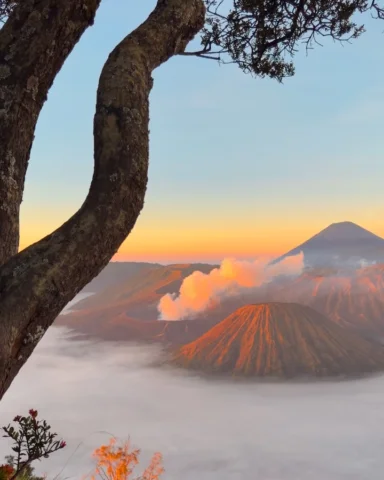 Tu prépares un voyage à Java ? 🌋🇮🇩

L’Indonésie ne faisait même pas partie de