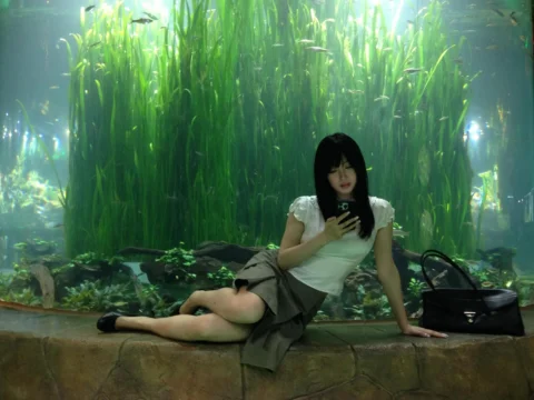 In a forest flooded with seawater