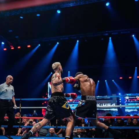 4 fights. 365 days