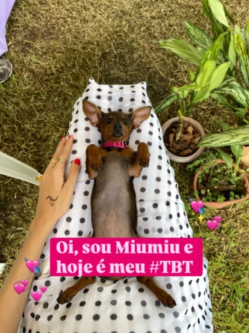 #tbt da querida de vocês 💕💘💞✨🤸
