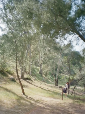 🎵　🌳　🌴　🪵　♻️ 
２０２１