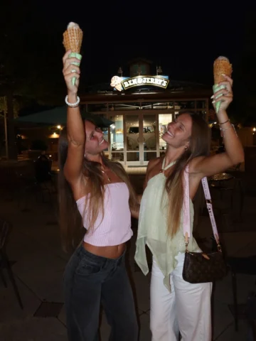 mint chocolate chip or cookie dough ice cream