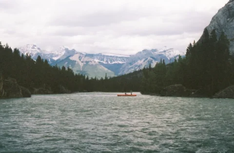 Still trying to make 35mm film my whole personality! 
Here’s a recent dump of li