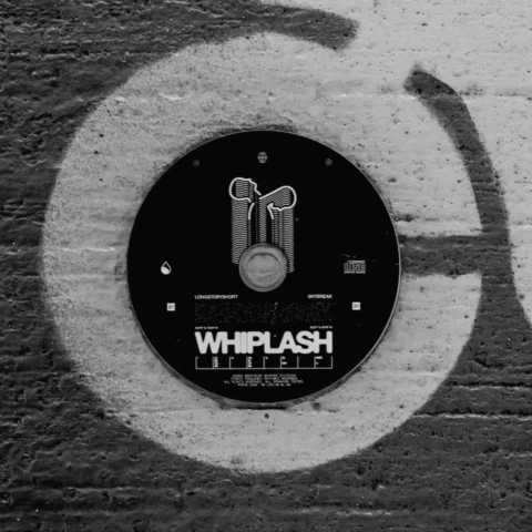 longstoryshort & Skybreak - WHIPLASH 💿 // 07/27 on @monstercat 

nyc aura. uk d