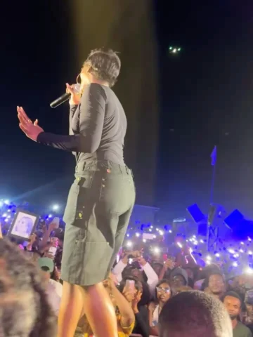 A night to remember! ✨🔥 my Queen  mom ❤️❤️🥰Tiwa Savage shut the stage down, an