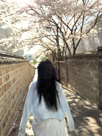 굳이 찾아가지 못했는데 꽃이 와줬다,,🌸

봄이 오는 그날 , 다시 만나자