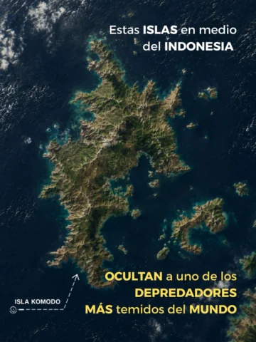 ENCONTRAMOS DRAGONES 🐉

Viajamos hasta las 🇮🇩 Islas de Komodo, el último luga