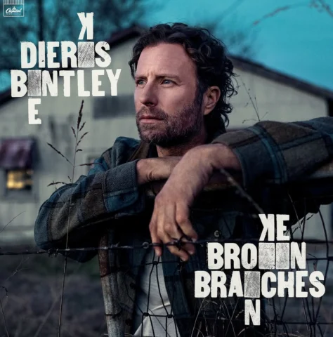 My whole career has been built alongside a community of other Broken Branches, i