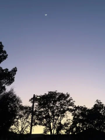 that night I had a dream