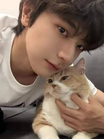 Even working in Spain still miss my little cat (🫢sorry i forgot he is already a