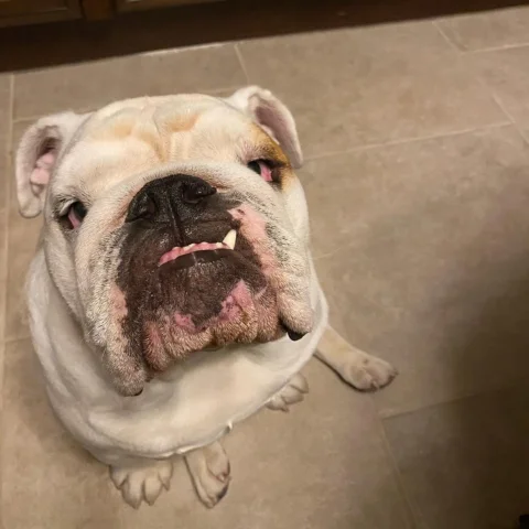 He’s the cutest in the world