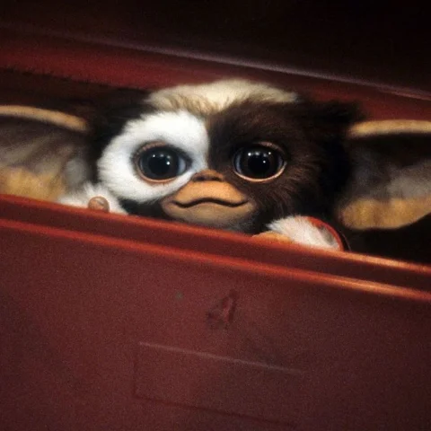 👀