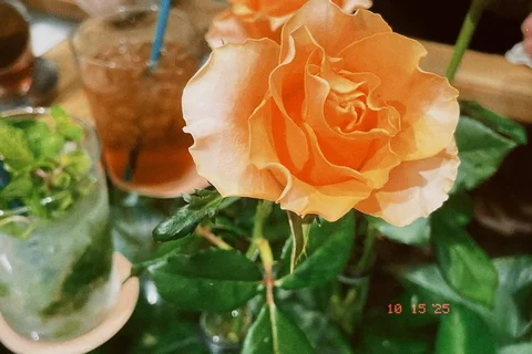 秋なんだけど、寒すぎるな。☔️