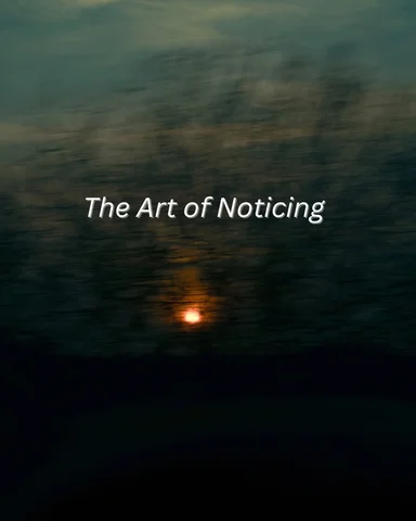 the art of noticing.