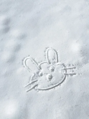 Bunny love 🐰☃️