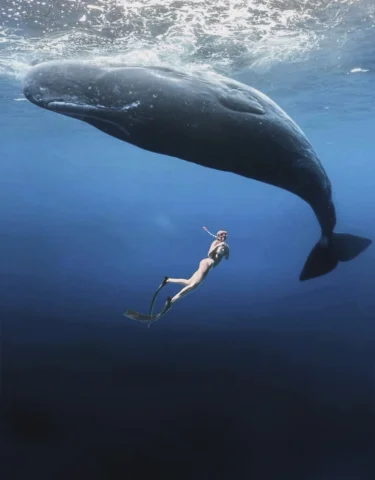 Io vivo per questo 🐋 
Per la natura, per le emozioni , per la curiosità di cono
