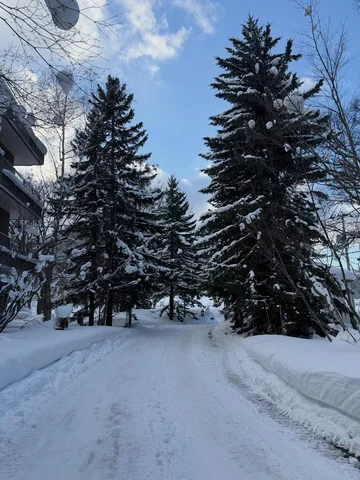 ❄️