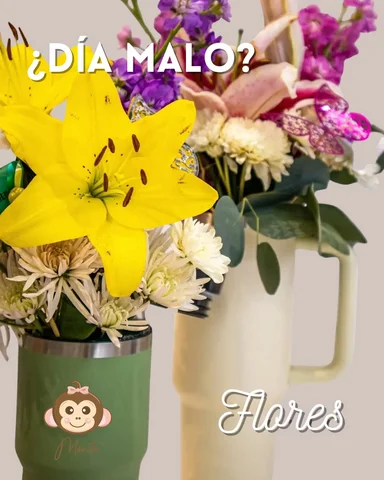 🌸✨ Nunca es un mal día para regalar flores…

No necesitas una fecha especial, a