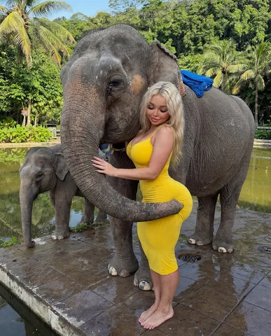 Which photo better ? 1/2/3/4? 🐘🫶🏼