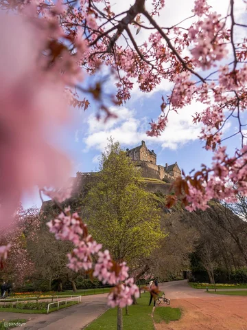 give it a week or two… spring in Edinburgh will look like this 🌸 🏰

📸 @pandey