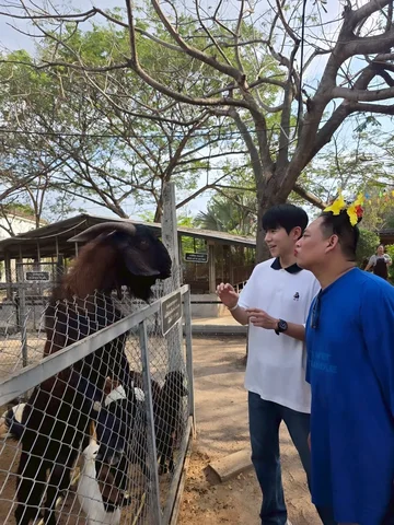 ขอโทษที่หัวเราะนะ