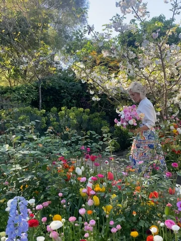 🌿In Petrina’s Melbourne garden @petrinablooms: “I find joy in gardening and gro