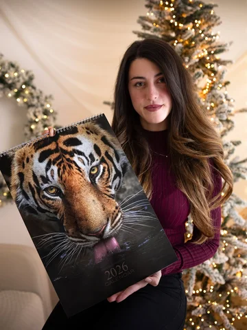 2026 Calendar Available 🗓️❤️
I’ve selected some of the shots that moved me the 