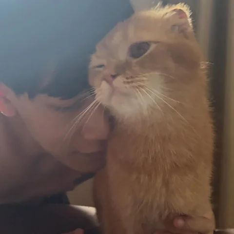 เติมโซ…