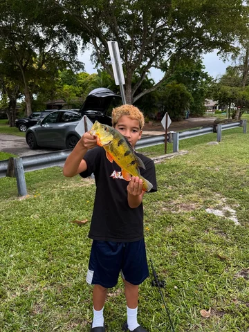 Todo lo que hago, lo disfruto 🎣