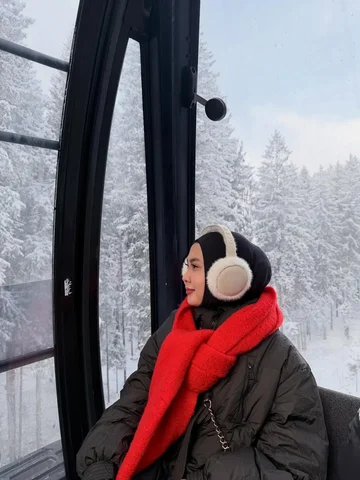 ❄️🏔️