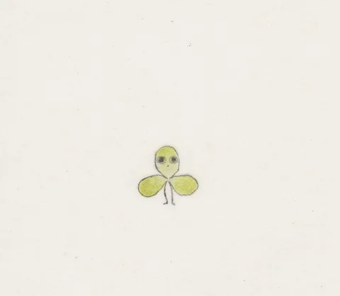 Clovers all around