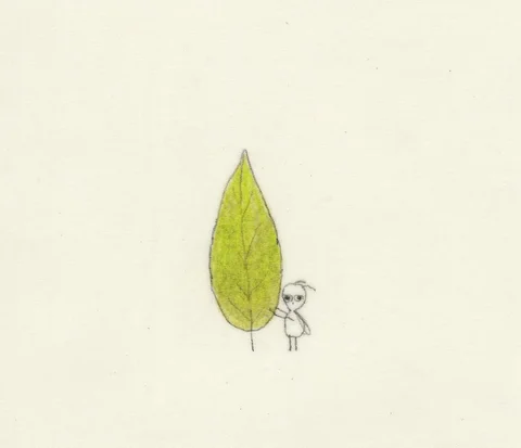 Bug shows off leaf