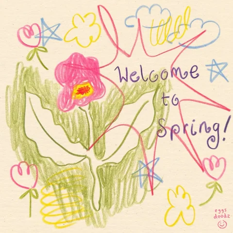 happy spring 🌷🐞🌤️🌸
