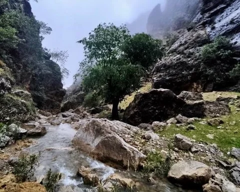 عکسهای شما از ایران - Your photos from Iran 💚🤍❤️