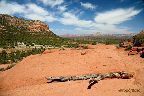 Sedona region, Arizona, USA - April 2022 - Canon EOS 5D Mark IV EF 24-105mm ISO 
