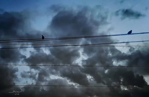 اگر آموختن درباره ي خود، 
بر پايه ي گفته هاي ديگران باشد، 
ما درباره ي آنها چيز 