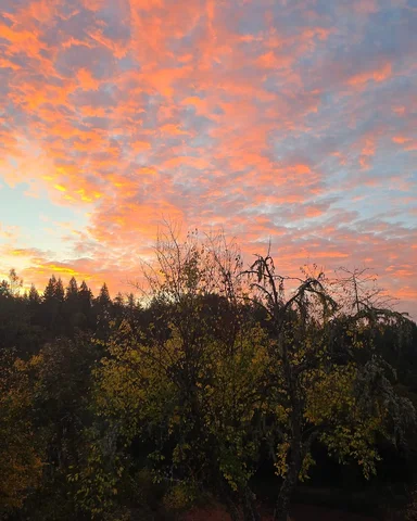 Happy Solstice friends! We hope you had a cozy, beautiful, and reflective day. H