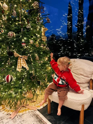 Week 49 of 2025 ✨ 

1. Novie waiting for Father Christmas 
2. Nibbly bits for a 