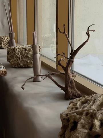 ✨
