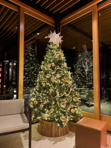 24/25 Christmas🎄🎄
.
.
.
.
.
#christmas #christmastime #christmastree #크리스마스 #트