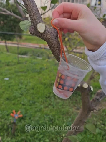 ​BUZUN İÇİNDE NE VAR? 🧐🍎

Buzdan meyveli ağaç yaptık! 🧊🍎 İçine de sevdiğimiz