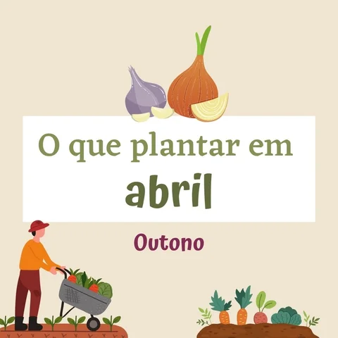 O que plantar esse mês? 🌱📆

Esta é uma recomendação geral para todo Brasil, se