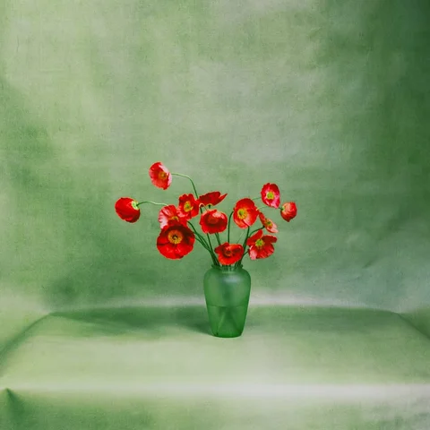 Thank you @luisgarvan for a day playing with flowers at @centroestudiomx you are