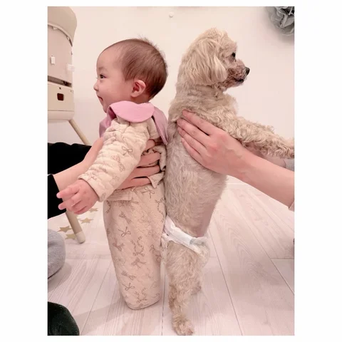 クックと夢の背くらべしたら同じ身長だったのぉ〜👶🐶💕✨✨"
可愛い過ぎん？😍💕

#7ヵ月
#夢空
#9歳
#クック
#👶🐶