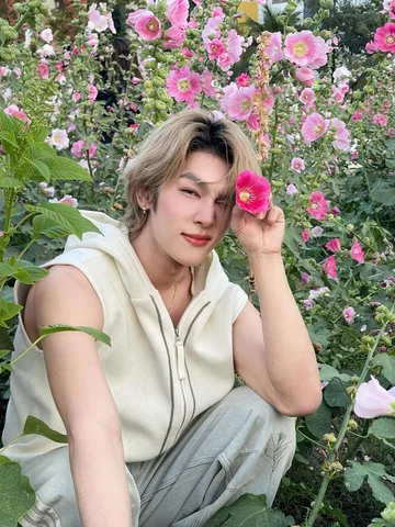 🌸🌺🌷

#pakvarayu