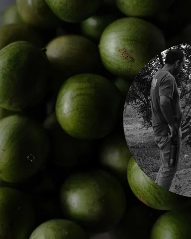 É muito difícil traduzir em palavras o que são as texturas da Caatinga: tem caul