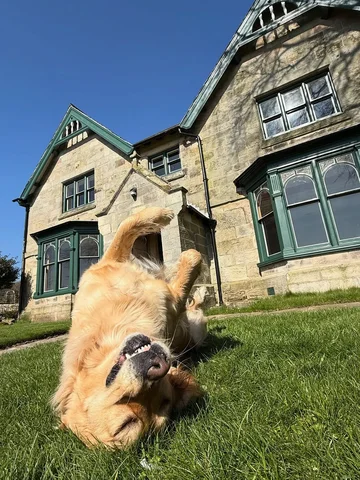 Quincy’s reaction to the weather last week 🌞