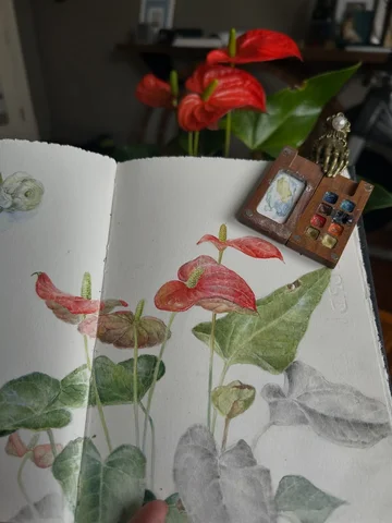I’ve spent the last 2 months painting plants and flowers in my sketchbook, and s