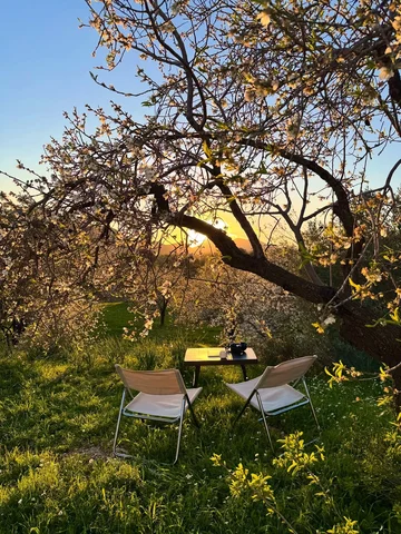 today in Datça.🌸 spring is already here.🌱 #datça #blossom #spring