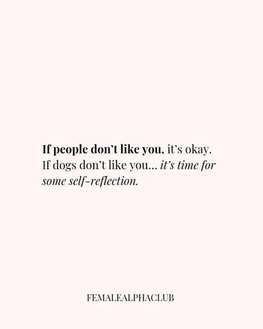 🤨
Follow @femalealphaclub for daily content and discover how to grow and moneti